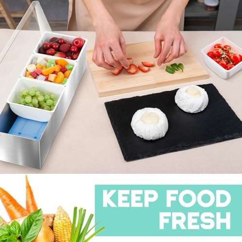 1 Pcs Stainless Steel 4Slot Chilled Condiment Caddy with 4 Ice Boxes, alternate view 5