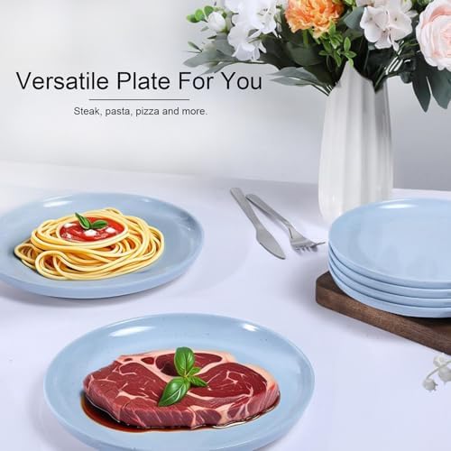 10.25" Melamine Dinner Plates Set of 6 - Durable Serving Dishes Perfect for Kitchen Outdoor Use, Dishwasher, alternate view 6