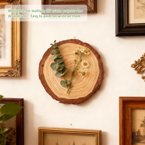 10 Wood Slices 7-7.8in, Unfinished Slabs for Wedding DIY, alternate view 4
