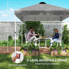 10' x 10' Pop Up Canopy Tent with 2 Half Sidewalls UV50+ Dark Gray, alternate view 3
