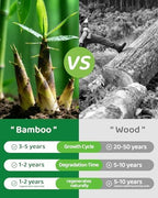 100% Bamboo Disposable Cutlery Set - 120 Mix (60 Forks,60 Spoons) in Natural Bamboo, alternate view 4