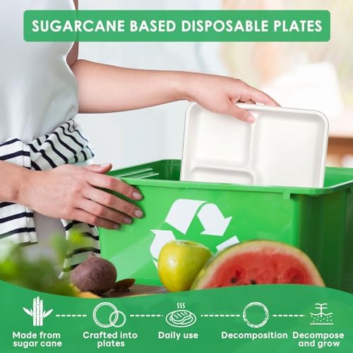 100% Compostable 5 Compartment Plates Disposable 12.5 Inch 100 Pack in 12.5 in compartment plates 100 count in, alternate