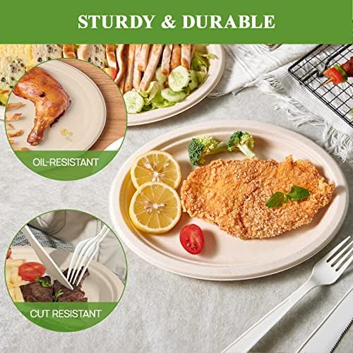 100% Compostable Oval Paper Plates 10 inch 125 Pack, Nature in 10 inches in 10 in Nature, alternate view 5