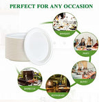100% Compostable Oval Paper Plates 10 inch 125 Pack, White in 10 inches in 10 in 125 Pack White, alternate view 6