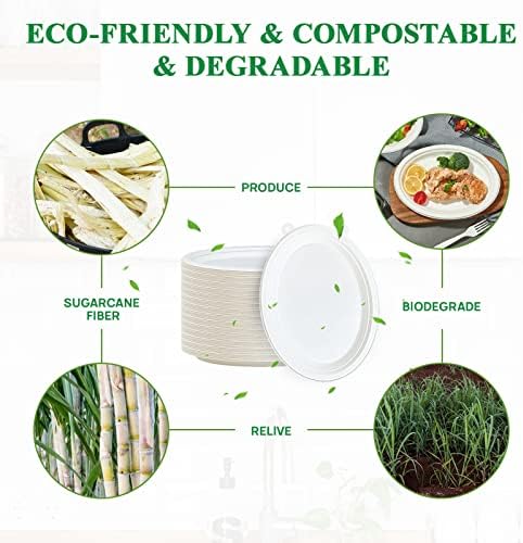 100% Compostable Oval Paper Plates 12 inch 300 Pack, White in Extra Large in 12 in White, alternate view 4