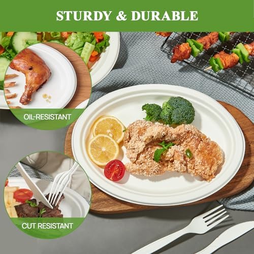 100% Compostable Oval Paper Plates 12 inch 300 Pack, White in Extra Large in 12 in White, alternate view 5