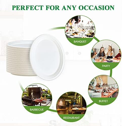 100% Compostable Oval Paper Plates 12 inch 300 Pack, White in Extra Large in 12 in White, alternate view 6