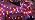 100 LED Globe Orange and Purple Halloween Lights Indoor Remote, alternate view 7