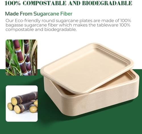 100 Pack 14 Inch Disposable Compostable Sugarcane Platters Biodegradable in 14 x 10 inch extra large in Beige, alternate view