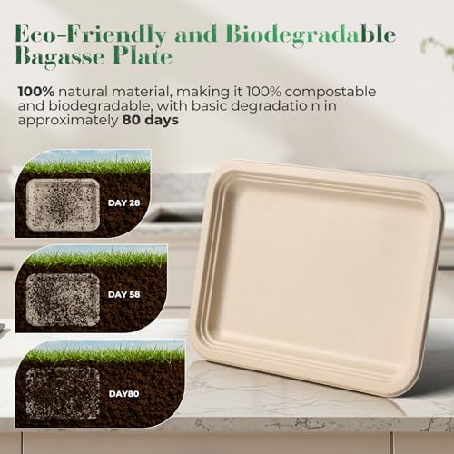 100 Pack 14 Inch Disposable Compostable Sugarcane Platters Biodegradable in 14 x 10 inch extra large in Beige, alternate view