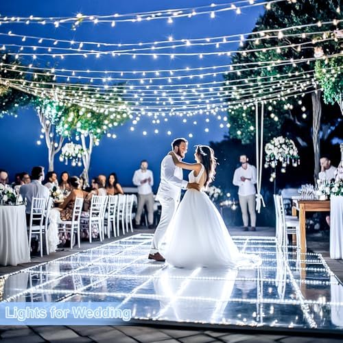 1000 LED White Christmas String Lights Outdoor with Remote, alternate view 6