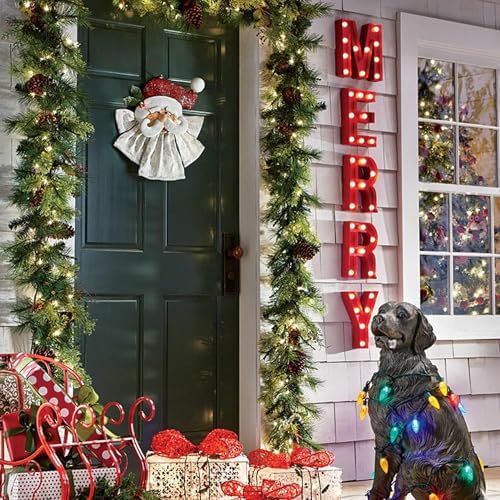 100FT 300 LED Color Changing Christmas Lights, 2 in 1 Warm White & Multi Waterproof Christmas String Lights with, alternate