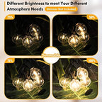 100FT LED Outdoor String Lights Patio Light with 52 Shatterproof G40 Dimmable Globe Bulb, 2-Pack 50FT Waterproof, alternate