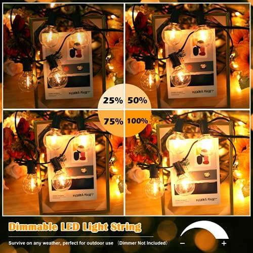 100ft Outdoor G40 LED Globe String Lights Dimmable Waterproof Shatterproof Light Strings with 52 Bulbs, alternate view 5