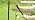 10FT String Light Poles, Heavy Duty Outdoor Light Pole Stand, 5-Prong Reinforced Steel Base, Anti-Rust, for, alternate view 7