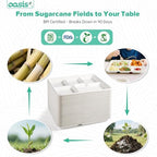 10x8 128-Pack 5-Compartment Divided Plates, Ideal for Light Meals, Kids Lunch, Meal Prep & Party, Heavy Duty, alternate view