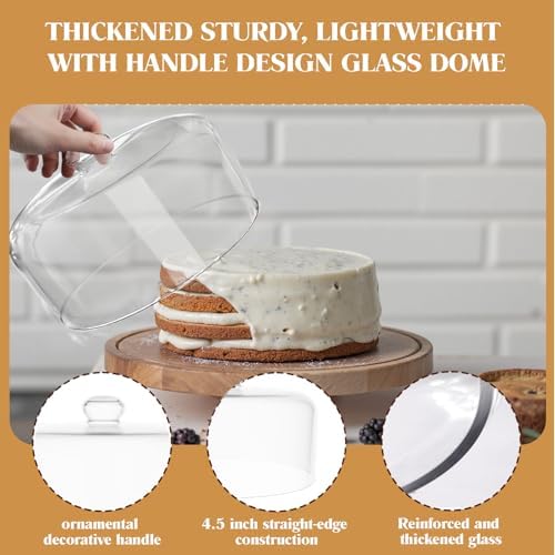 11 Inch Glass Cake Dome Cover in Clear, alternate view 3
