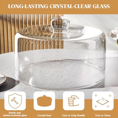 11 Inch Glass Cake Dome Cover in Clear, alternate view 4