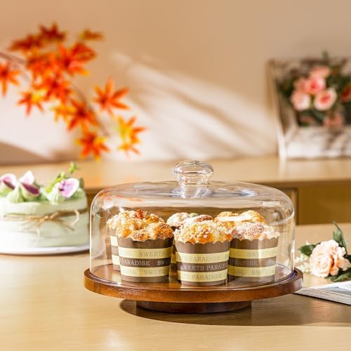 11in Acacia Wood Cake Stand with Lid, Cake Holder with Glass Dome in 1, alternate view 6