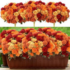 12 Pcs Fall Artificial Flowers for Outdoor Faux Mums, Burnt Orange