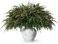 12-Piece 23" Norfolk Pine Stems, Artificial Pine Branches with LED Lights