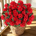 12PCS Artificial Geraniums for Outdoors, Fake Silk Red Flowers