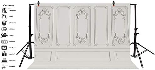 12x8ft Vinyl Vintage Room Inside Backdrop European Frame Modern House French Castle Cementery Wall Retro Style, alternate