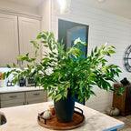 130pcs Italian Ruscus Greenery Stems 68cm Artificial Smilax Greenery Branch, alternate view 7