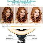 14" Ring Light with Tripod Stand, LED Circle Light with Phone Holder, for Photo Selfie, Video Recording, Zoom, alternate view
