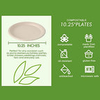 150 Pack Compostable Bagasse Paper Plates 10.25 inch, Nature in 150 Count (Pack of 1) in Nature, alternate view 3