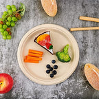 150 Pack Compostable Bagasse Paper Plates 10.25 inch, Nature in 150 Count (Pack of 1) in Nature, alternate view 4
