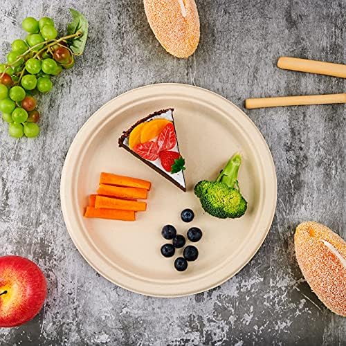 150 Pack Compostable Bagasse Paper Plates 10.25 inch, Nature in 150 Count (Pack of 1) in Nature, alternate view 4