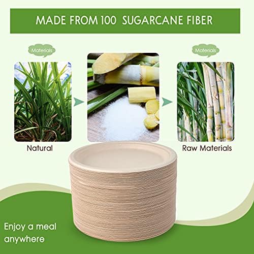150 Pack Compostable Bagasse Paper Plates 10.25 inch, Nature in 150 Count (Pack of 1) in Nature, alternate view 5