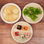 150 Pack Compostable Bagasse Paper Plates 10.25 inch, Nature in 150 Count (Pack of 1) in Nature, alternate view 6
