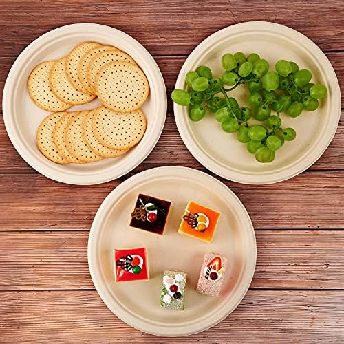 150 Pack Compostable Bagasse Paper Plates 10.25 inch, Nature in 150 Count (Pack of 1) in Nature, alternate view 6