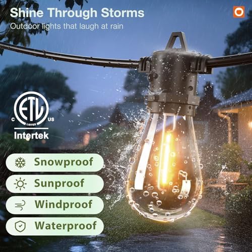 150FT Outdoor String Lights LED with Remote Dimmable Waterproof, alternate view 4