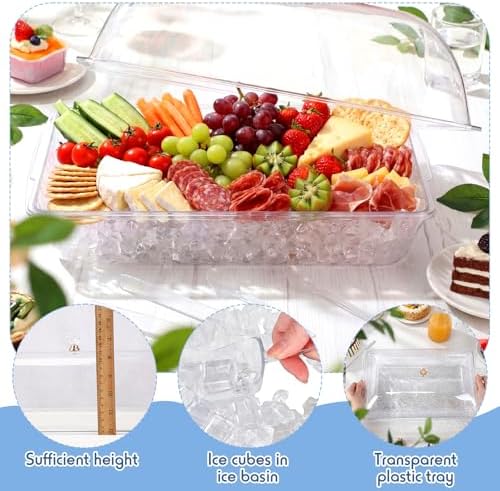 16" x 9" Chilled Serving Tray with lids, Clear,1 Set in 16 x 9 inches in Clear, alternate view 4