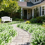16PCS Artificial Flowers Outdoor, Fake White Monkey Grass Plants in White-2, alternate view 5