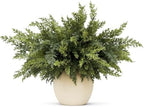 18 PCS Cedar Stems,18-inch Artificial Pine Stems, DIY Handmade Decorative Ornaments, Ideal for Home Decoration
