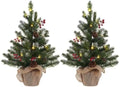 2 FT Mini Christmas Tree, Set of 2 24" PE Prelit Small Artificial Tabletop Snow Flocked Christmas Trees Decor