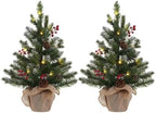 2 FT Mini Christmas Tree, Set of 2 24" PE Prelit Small Artificial Tabletop Snow Flocked Christmas Trees Decor