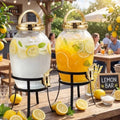 2 Pack 1.16 Gallon Drink Beverage Dispenser with Stand for Parties Plastic Water Lemonade Juice Dispenser with