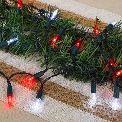 2 Pack 50 LED Outdoor Valentines Lights, 16FT Battery Operated Mini String Lights with 8 Modes & Timer, alternate view 4