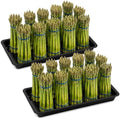 2 Pack Asparagus Container Display Tray, Commercial Produce Hydration Pan in Black