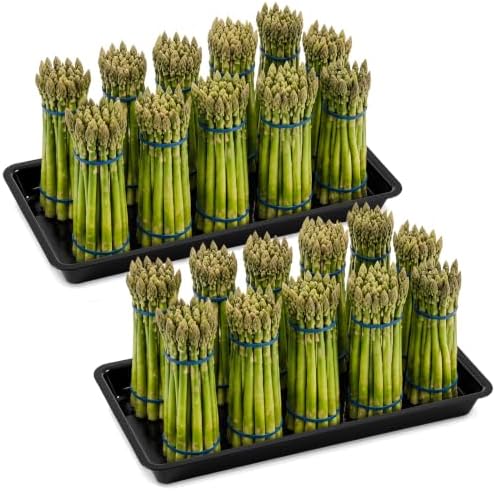 2 Pack Asparagus Container Display Tray, Commercial Produce Hydration Pan in Black