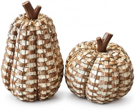 2 Pack Fall Pumpkin Decor, Woven Resin Pumpkins for Indoor Home