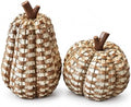 2 Pack Fall Pumpkin Decor, Woven Resin Pumpkins for Indoor Home