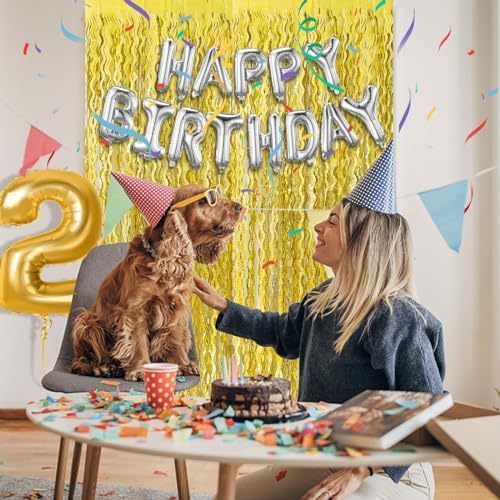 2 Pack Gold Fringe Curtain Backdrop Tinsel Streamers Birthday Party Decorations Photo Booth Backdrop Halloween, alternate