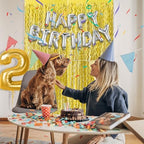 2 Pack Gold Fringe Curtain Backdrop Tinsel Streamers Birthday Party Decorations Photo Booth Backdrop Halloween, alternate