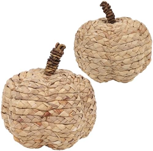 2 Pack Pumpkin Fall Decor, Woven Wicker Pumpkins for Home, Beige in Beige